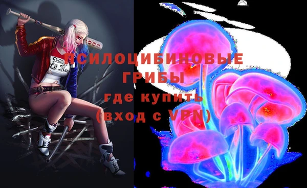 скорость Богородск