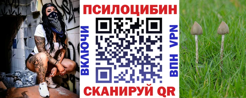 Галлюциногенные грибы Psilocybine cubensis  даркнет клад  Волжский 